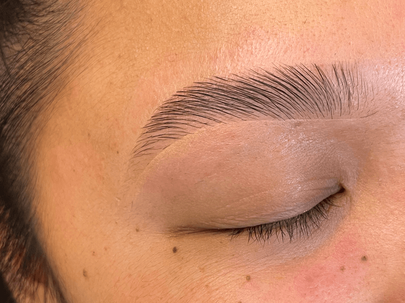 Lab Brow Lamination & Tint Course-On Certification Class